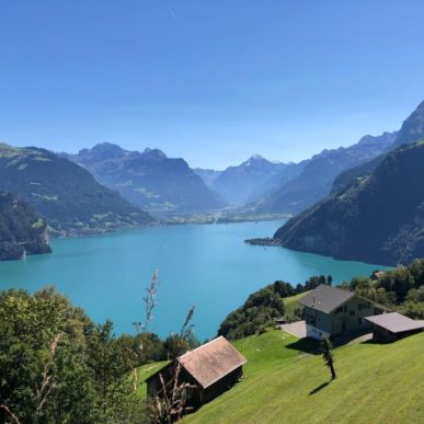 Aussicht Auf Den Luzerner See